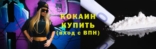 тгк Алексин