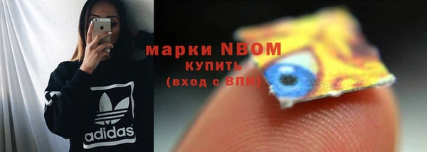 тгк Алексин
