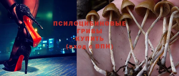 героин Алзамай