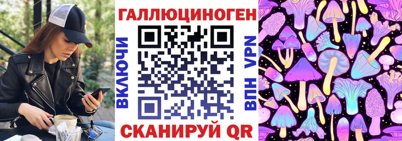 Галлюциногенные грибы Magic Shrooms  Новоалександровск 