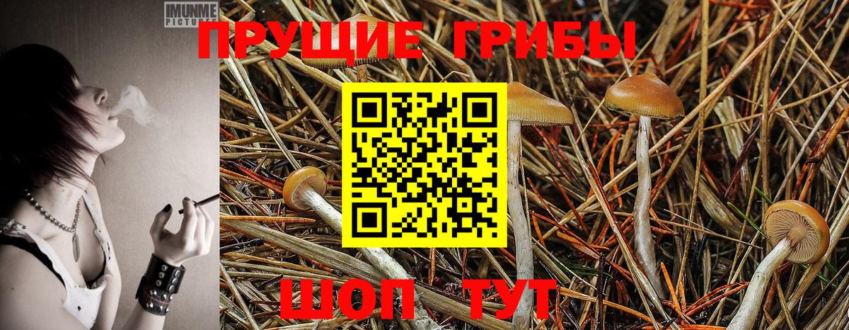Псилоцибиновые грибы прущие грибы  что такое   Новоалександровск  Галлюциногенные грибы Cubensis  Вход с VPN 